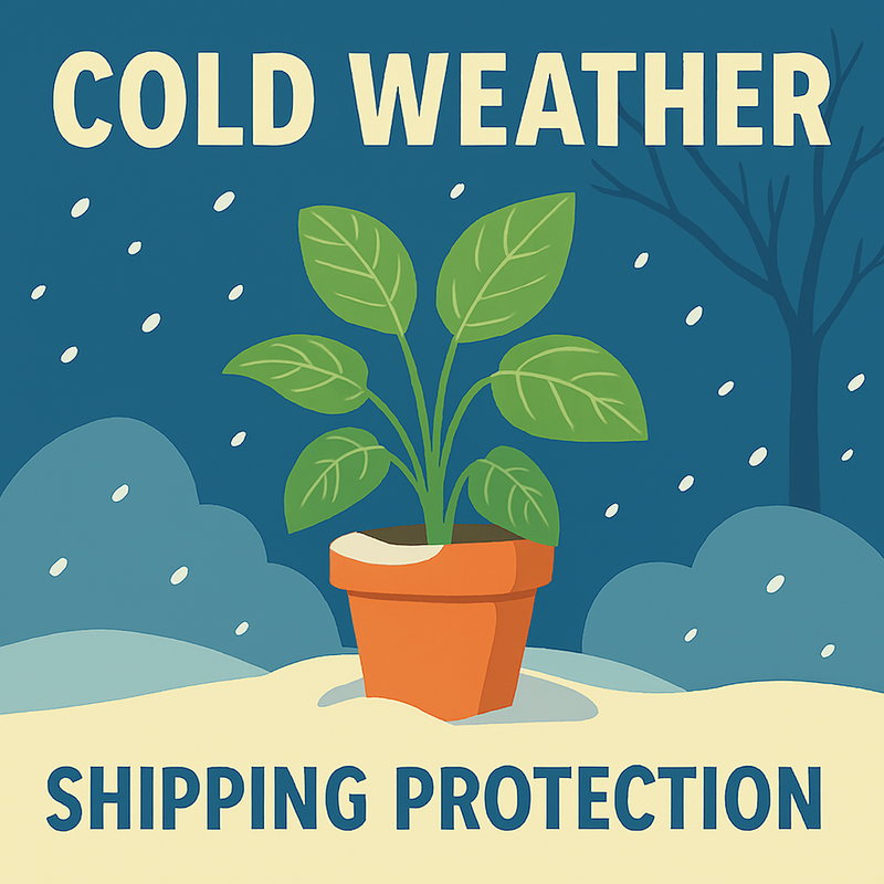 Cold Weather Protection
