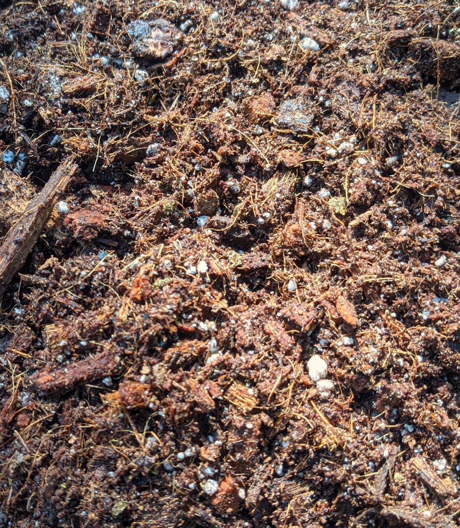 Houseplant Soil Tropical Aroid Potting Mix for Healthy Plant Roots - Philodendron, Monstera, Hoya, Ficus