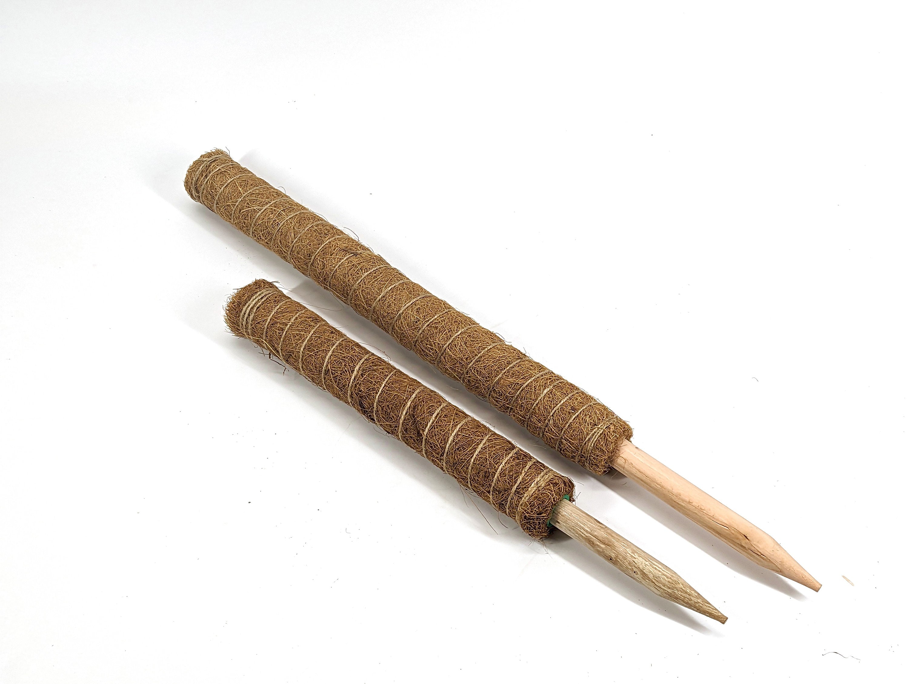 Coco Husk Expandable Moss Pole for Climbing and Vining Airoid and other Houseplants - 16", 24", & 31"