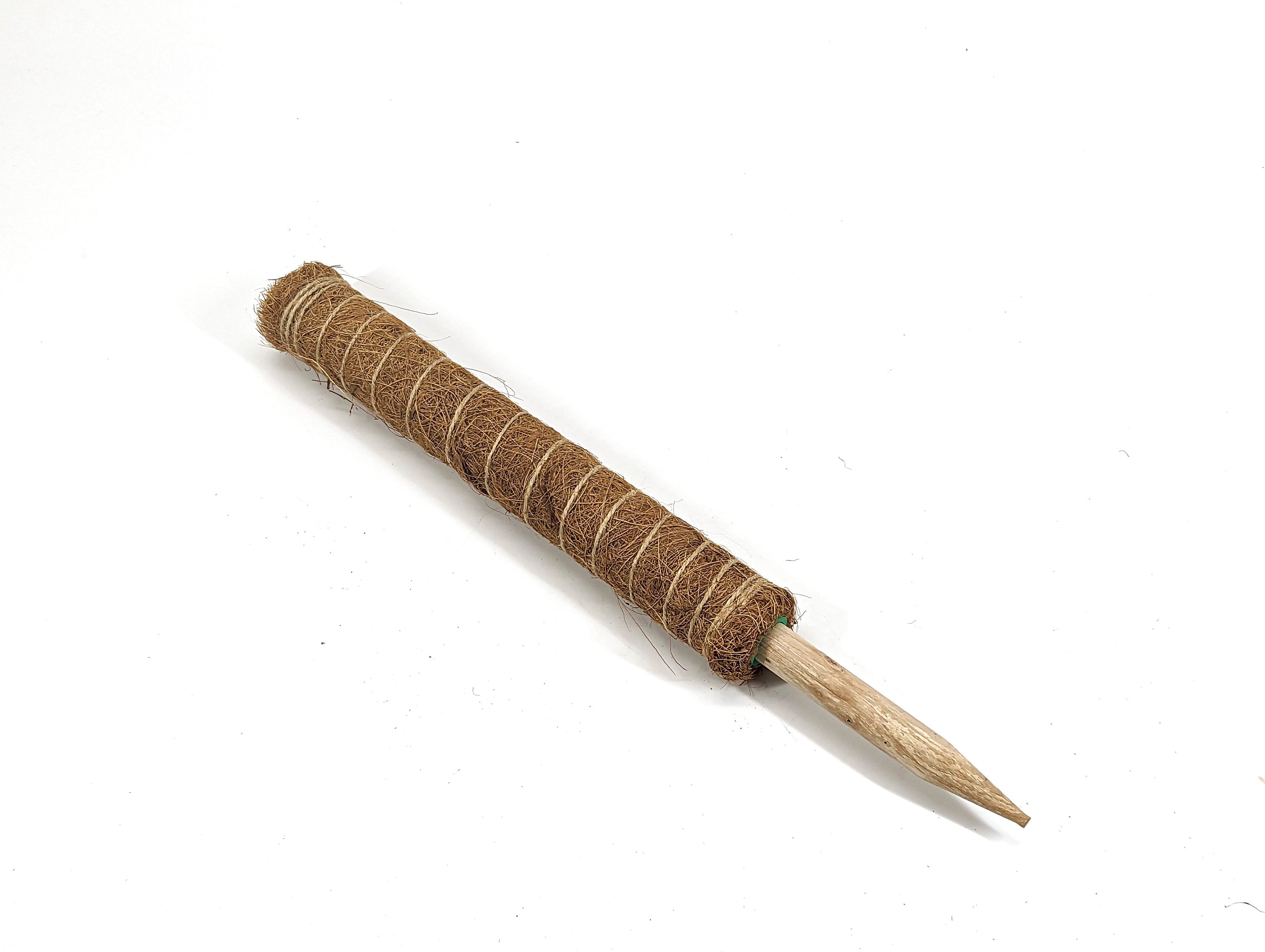 Coco Husk Expandable Moss Pole for Climbing and Vining Airoid and other Houseplants - 16", 24", & 31"