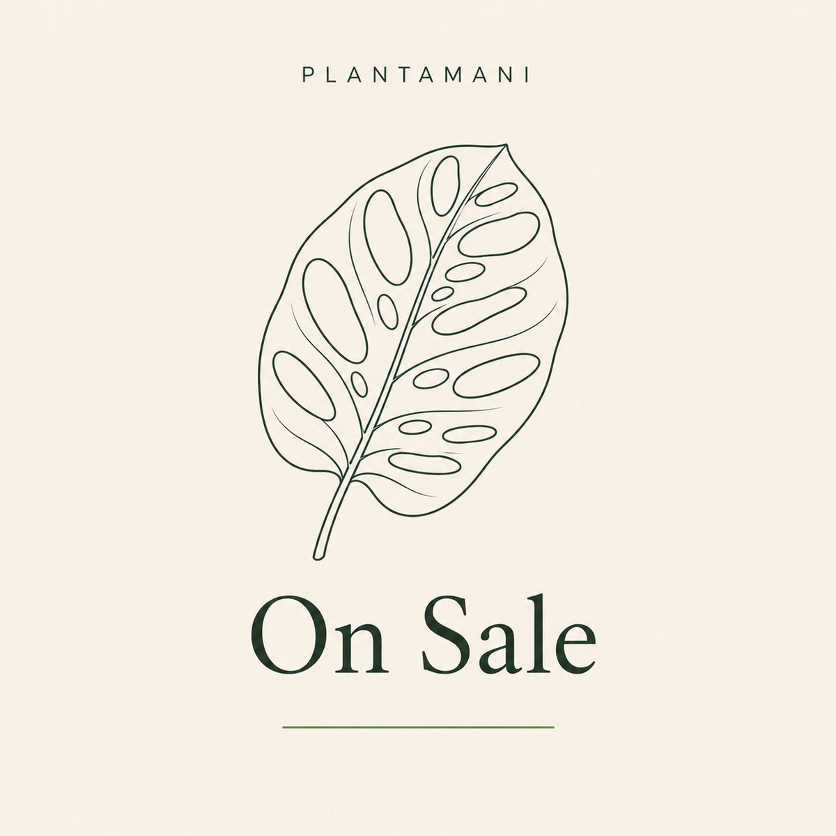 On Sale