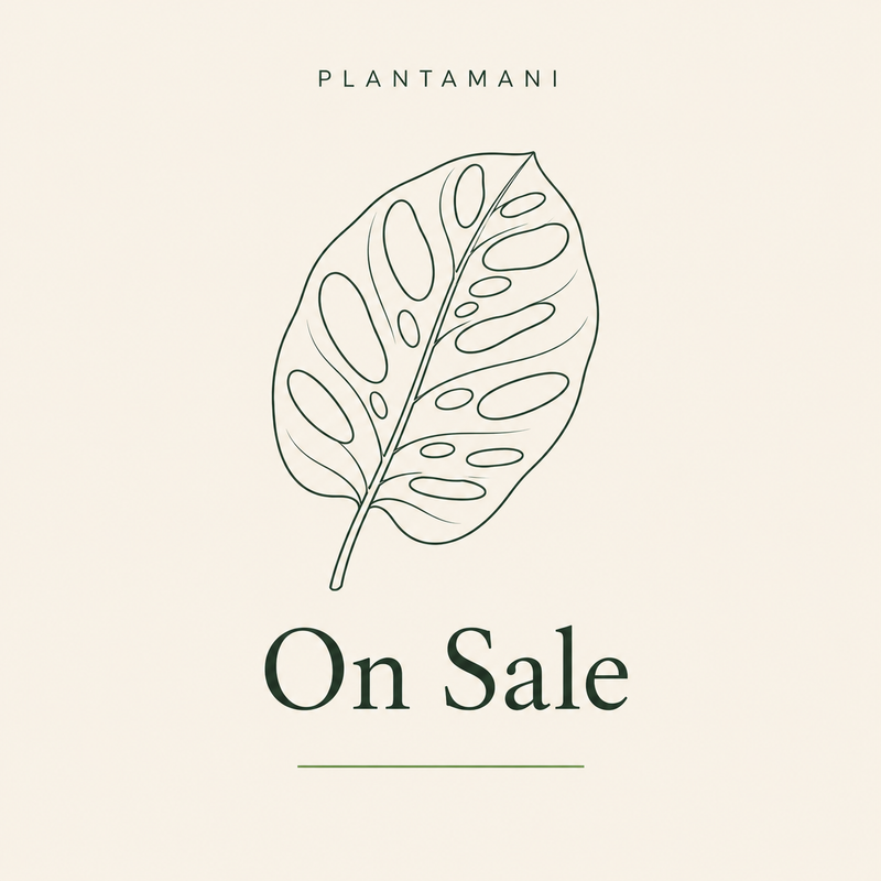 On Sale