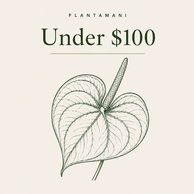 Under $100