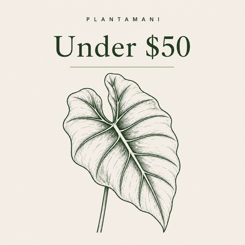 Under $50