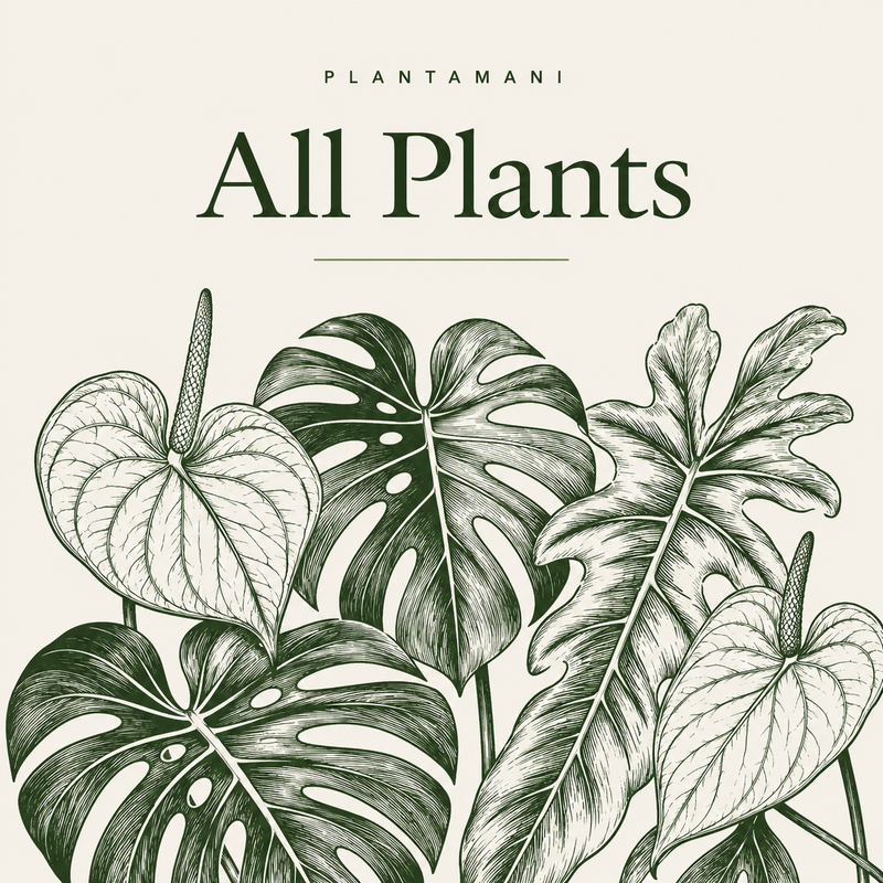 All Plants
