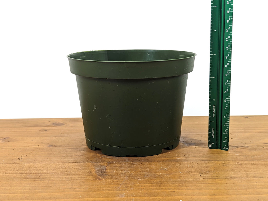 20 Count Round Green Nursery Pots 4&quot; Diameter Good Drainage (TEKU MXC 15 Z)