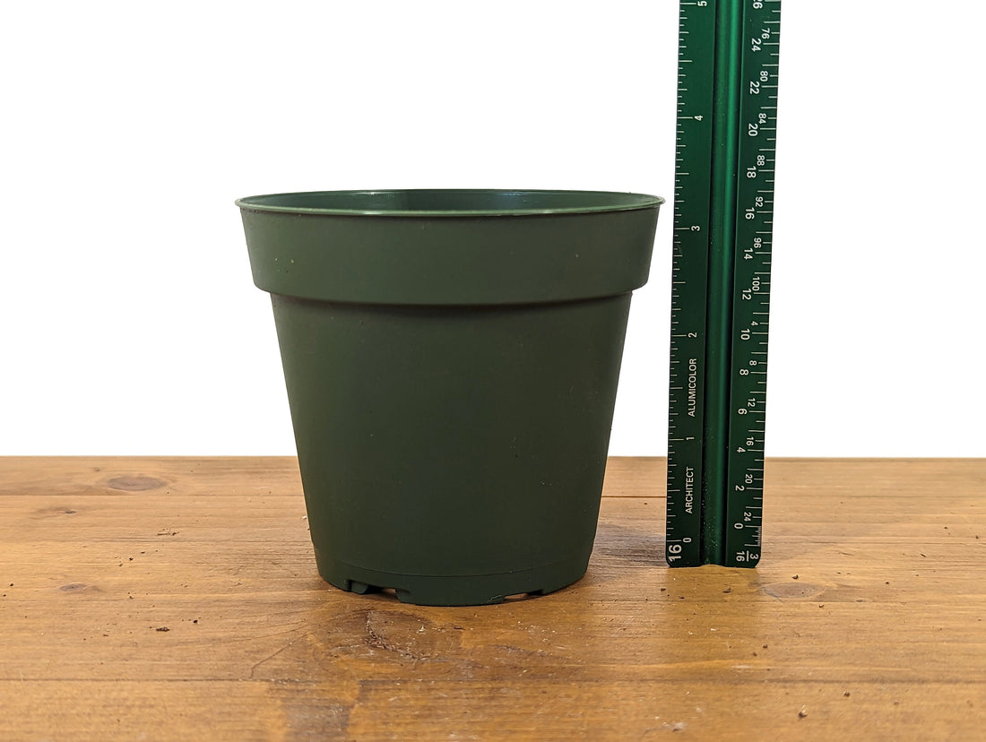 30 Count Round Green Nursery Pots 4&quot; Diameter Tall Pots Good Drainage (TEKU MTE 10)