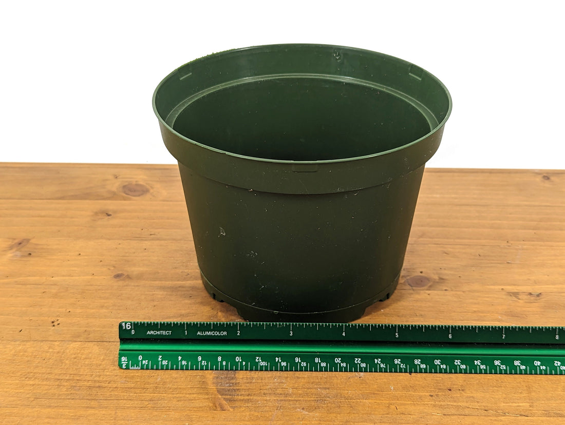 20 Count Round Green Nursery Pots 4&quot; Diameter Good Drainage (TEKU MXC 15 Z)
