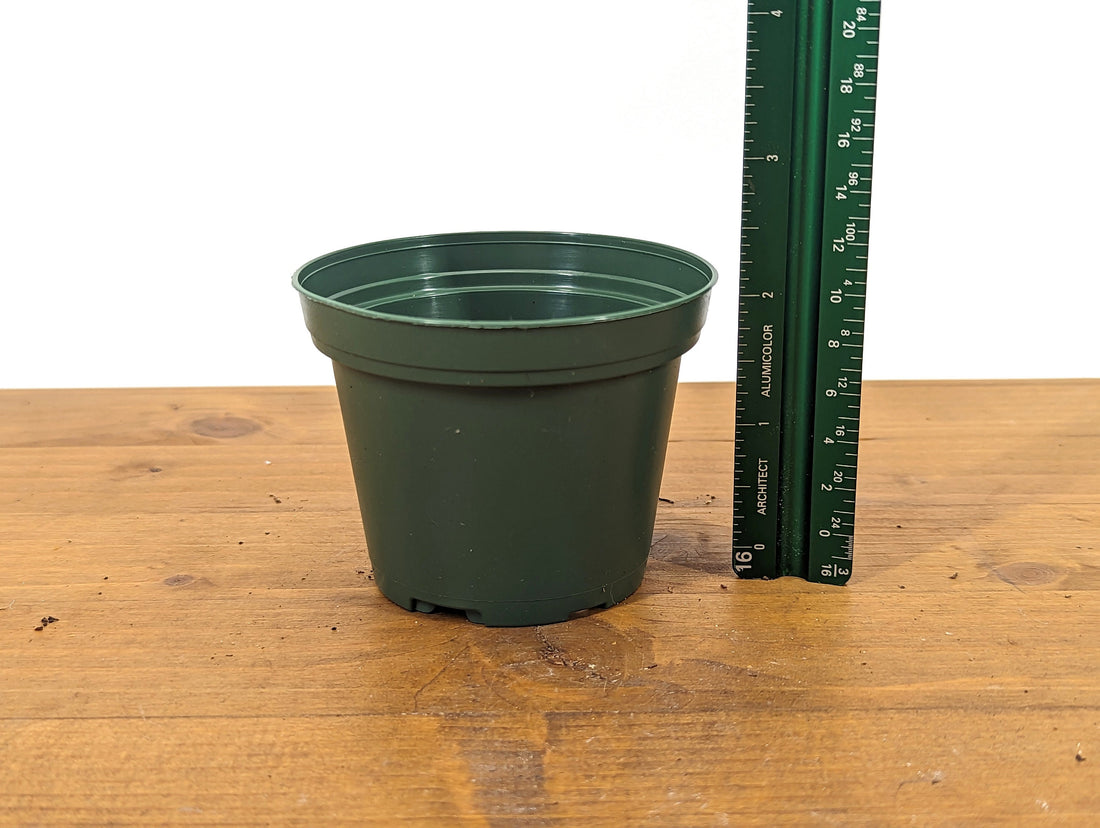 30 Count Round Green Nursery Pots 3.15&quot; Diameter Good Drainage (TEKU TO 8 Z)