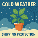 Cold Weather Protection