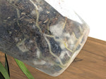 Anthurium Pallidiflorum - Narrow Dark Strap Leaves - Exact Plant (#43A)