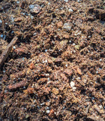 Houseplant Soil Tropical Aroid Potting Mix for Healthy Plant Roots - Philodendron, Monstera, Hoya, Ficus