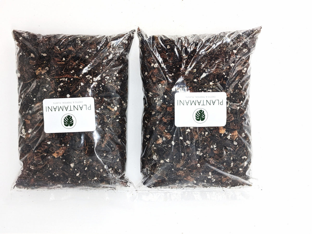 Houseplant Soil Tropical Aroid Potting Mix for Healthy Plant Roots - Philodendron, Monstera, Hoya, Ficus