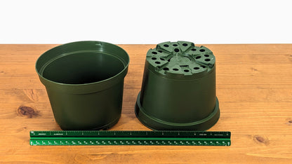 High Impact Round Plastic Azalea Flower Plant Pot 6 Inch Diameter Teku (MXC 15 Z)