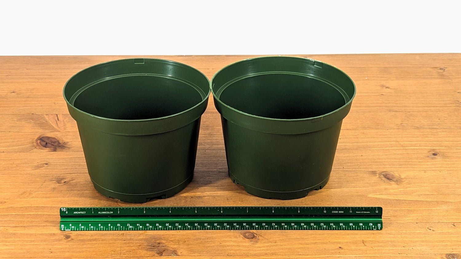 High Impact Round Plastic Azalea Flower Plant Pot 6 Inch Diameter Teku (MXC 15 Z)